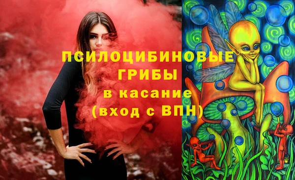 СК Краснослободск