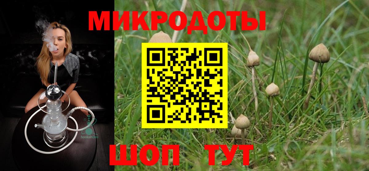 Псилоцибиновые грибы ЛСД Евпатория