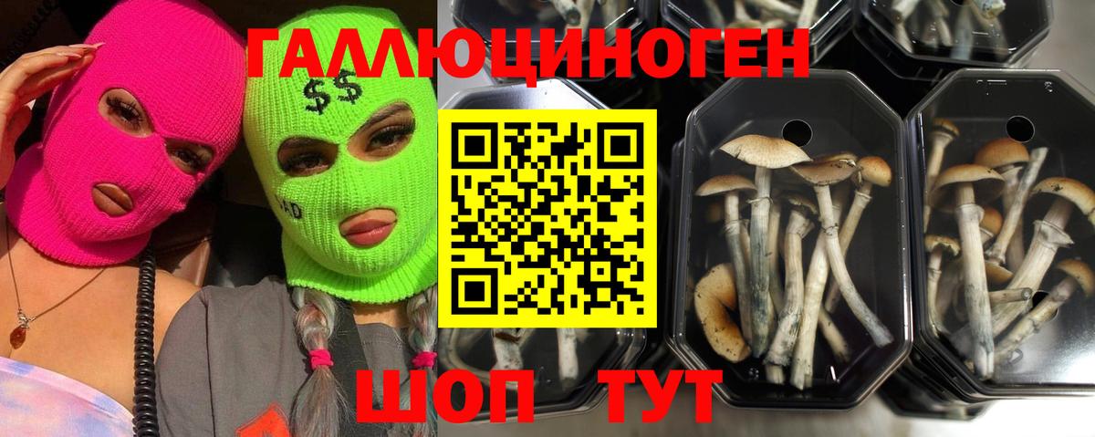 COCAIN  Гашиш  Евпатория  Вход с VPN  Меф   Конопля 