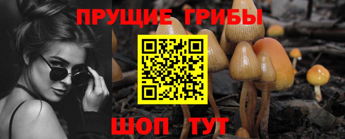Евпатория  Галлюциногенные грибы GOLDEN TEACHER  купить наркотики сайты  Вход с VPN  Галлюциногенные грибы Magic Shrooms 